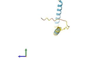 AlphaFold protein structure predicition of Human Recombinant LINC01549 Protein, UniprotID A6NIU2