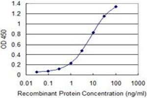 Detection limit for recombinant GST tagged YARS is 0. (YARS antibody  (AA 1-528))