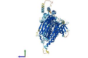 Protein Structure (PS) image for RAS P21 Protein Activator 4 (RASA4) (AA 1-802) protein (His tag) (ABIN7564125)