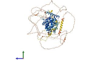 AlphaFold protein structure predicition of Mouse Recombinant Kansl3 Protein, UniprotID A2RSY1 (KANSL3 Protein (AA 1-903) (His tag))