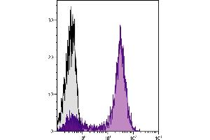 Human peripheral blood lymphocytes were stained with Mouse Anti-Human CD5-UNLB followed by Goat Anti-Mouse IgG2a, Human ads-APC/CY7. (Goat anti-Mouse IgG2a Antibody (APC-Cy7) - Preadsorbed)