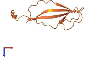 AlphaFold protein structure predicition of Human Recombinant DSCR10 Protein, UniprotID P59022 (DSCR10 Protein (AA 1-87) (Fc Tag))