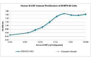 SDS-PAGE (SDS) image for Colony Stimulating Factor 3 (Granulocyte) (CSF3) protein (ABIN6699717)