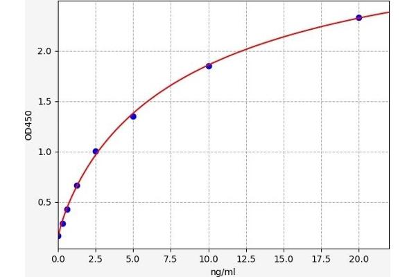 LACTB ELISA Kit
