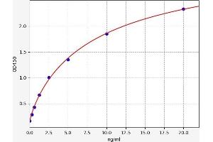 Typical standard curve (LACTB ELISA Kit)