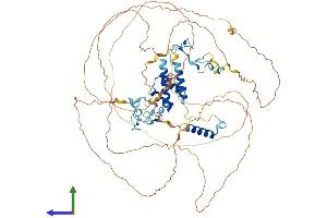 Protein Structure (PS) image for Zinc Finger CCCH-Type Containing 14 (ZC3H14) (AA 1-736) protein (His tag) (ABIN7545228)
