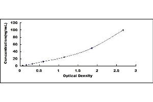 Typical standard curve (HSPA1L ELISA Kit)