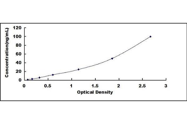 HSPA1L ELISA Kit