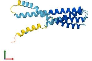 AlphaFold protein structure predicition of Mouse Recombinant Ssr3 Protein, UniprotID Q9DCF9