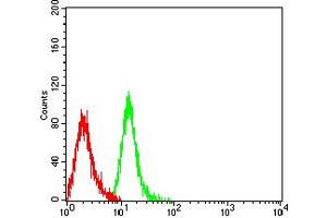 Flow cytometric analysis of Jurkat cells using TIM3 mouse mAb (green) and negative control (red). (TIM3 antibody  (AA 22-202))