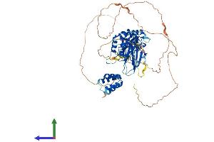 Protein Structure (PS) image for Protein Inhibitor of Activated STAT, 2 (PIAS2) (AA 1-621) protein (His tag) (ABIN7555000)