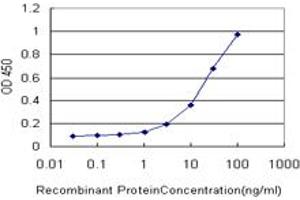 Detection limit for recombinant GST tagged CCL7 is approximately 1ng/ml as a capture antibody. (CCL7 antibody  (AA 24-99))