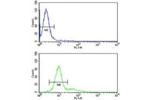 Retinoblastoma antibody flow cytometric analysis of 293 cells (green) compared to a negative control (blue). (Retinoblastoma Protein (Rb) antibody  (AA 858-886))
