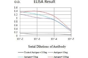 Black line: Control Antigen (100 ng),Purple line: Antigen (10 ng), Blue line: Antigen (50 ng), Red line:Antigen (100 ng) (MSH2 antibody  (AA 442-586))