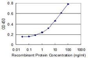 Detection limit for recombinant GST tagged GINS2 is 0. (GINS2 antibody  (AA 1-100))