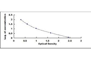 Follistatin (FST) ELISA Kit