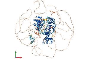 AlphaFold protein structure predicition of Human Recombinant BLM Protein, UniprotID P54132 (BLM Protein (AA 1-1417) (His tag))