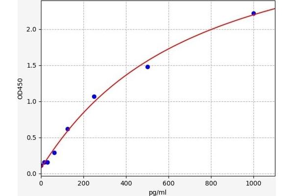 CCR2 ELISA Kit