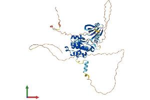 Protein Structure (PS) image for serine/threonine Kinase 33 (STK33) (AA 1-514) protein (His tag) (ABIN7544023)