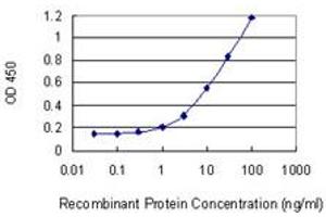 Detection limit for recombinant GST tagged PRKCDBP is 0. (PRKCDBP antibody  (AA 161-261))