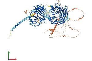 AlphaFold protein structure predicition of Human Recombinant STXBP5 Protein, UniprotID Q5T5C0 (STXBP5 Protein (AA 1-1151) (His tag))