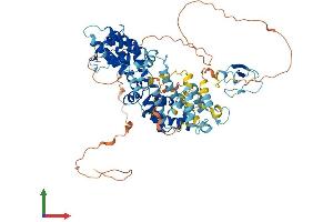 AlphaFold protein structure predicition of Human Recombinant RASGRP3 Protein, UniprotID Q8IV61 (RASGRP3 Protein (AA 1-690) (His tag))