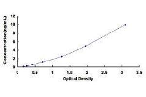 BCL2 Binding Component 3 (BBC3) ELISA Kit