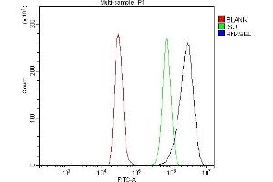 Flow Cytometry analysis of NRK cells using anti-RNase L/Rnasel antibody (ABIN7600857). (RNASEL antibody  (AA 24-735))