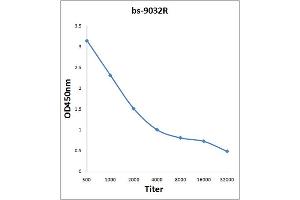 Antigen: 2 µg/100 µL  Primary: Antiserum, 1:500, 1:1000, 1:2000, 1:4000, 1:8000, 1:16000, 1:32000;  Secondary: HRP conjugated Rabbit Anti-Goat IgG at 1: 5000;  TMB staining Read the data in Microplate Reader by 450nm. (PBLD1 antibody  (AA 60-110))