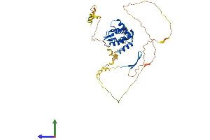 AlphaFold protein structure predicition of Human Recombinant ARID3C Protein, UniprotID A6NKF2 (ARID3C Protein (AA 1-412) (His tag))