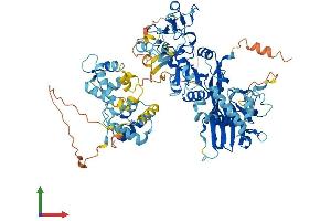 AlphaFold protein structure predicition of Mouse Recombinant Dgkb Protein, UniprotID Q6NS52 (DGKB Protein (AA 1-802) (His tag))
