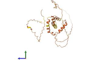 AlphaFold protein structure predicition of Human Recombinant FAM220BP Protein, UniprotID B1ANY3 (FAM220BP Protein (AA 1-271) (His tag))