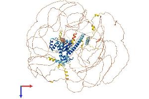 AlphaFold protein structure predicition of Human Recombinant RSF1 Protein, UniprotID Q96T23 (RSF1 Protein (AA 1-1441) (His tag))