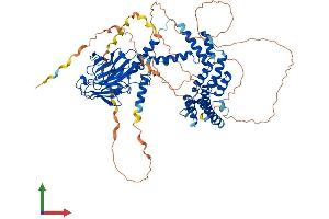 AlphaFold protein structure predicition of Human Recombinant RANBP9 Protein, UniprotID Q96S59