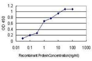 Detection limit for recombinant GST tagged MYOG is approximately 0. (Myogenin antibody  (AA 1-224))