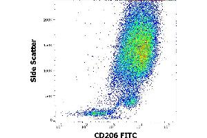 Flow cytometry surface staining pattern of human stimulated (GM-CSF + IL-4) peripheral blood mononuclear cells stained using anti-human CD206 (15-2) FITC antibody (4 μL reagent per milion cells in 100 μL of cell suspension). (Macrophage Mannose Receptor 1 antibody  (FITC))