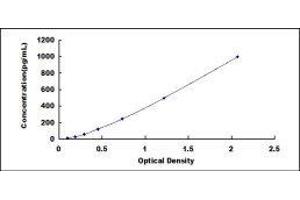 Stanniocalcin 1 (STC1) ELISA Kit