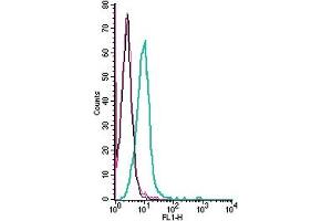 Cell surface detection of PACC1 by indirect flow cytometry in live intact human  monocytic leukemia cell line: + goat-anti-rabbit-FITC. (PACC1 (AA 95-110), (Extracellular) antibody)