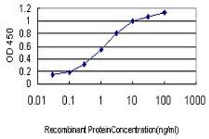 Detection limit for recombinant GST tagged POLR2I is approximately 0. (POLR2I antibody  (AA 26-125))