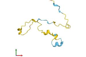 AlphaFold protein structure predicition of Human Recombinant PDE6G Protein, UniprotID P18545