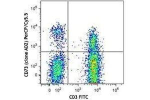 Flow Cytometry (FACS) image for anti-5'-Nucleotidase, Ecto (CD73) (NT5E) antibody (PerCP-Cy5.5) (ABIN2660154) (CD73 antibody  (PerCP-Cy5.5))