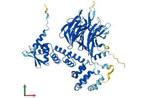 AlphaFold protein structure predicition of Mouse Recombinant Gan Protein, UniprotID Q8CA72