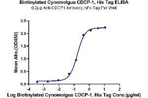 Immobilized Anti-CDCP1 Antibody, hFc Tag at 2 μg/mL (100 μL/well) on the plate. (CDCP1 Protein (AA 29-667) (His-Avi Tag,Biotin))
