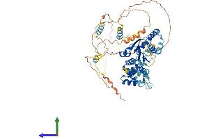 AlphaFold protein structure predicition of Mouse Recombinant Orc2 Protein, UniprotID Q60862