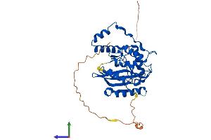 AlphaFold protein structure predicition of Human Recombinant VASH2 Protein, UniprotID Q86V25 (Vasohibin 2 Protein (VASH2) (AA 1-355) (His tag))