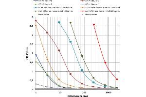 Image no. 3 for Bevacizumab Antibody ELISA Kit (ABIN2862661) (Bevacizumab Antibody ELISA Kit)