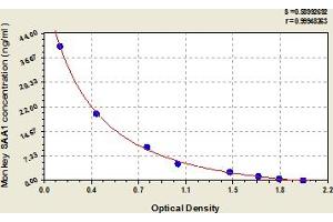 SAA1 ELISA Kit