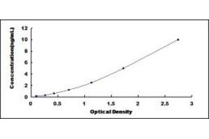 Typical standard curve (GAN ELISA Kit)