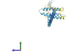 Protein Structure (PS) image for Receptor Accessory Protein 6 (REEP6) (AA 1-201) protein (His tag) (ABIN7561694)