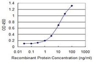 Detection limit for recombinant GST tagged GNL3 is 0. (Nucleostemin antibody  (AA 328-427))